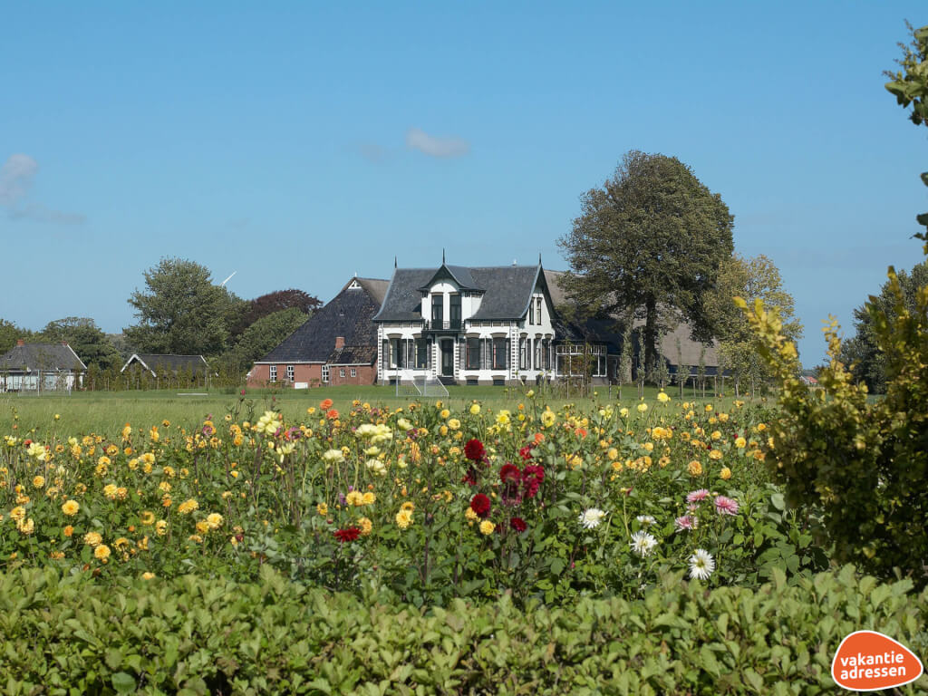 Vakantiehuizen En Luxe Groepsaccommodaties In Nederland